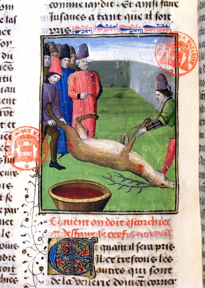通过Gaston Phebus de Foix（1331-91）从Livre de la Chasse切割死雄鹿的腿 作者 法语学校