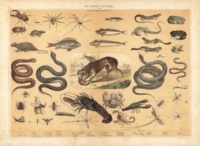 Dangerous animals (colour litho)   1431344   zh       chinese Successfully Translated  Original: Duck, Duck, Duck 3 Translat: Duck, Duck, Duck 3 1470191 zh chinese Successfully Translated Original: Revenge At Uguisuzuka (colour woodcut) Translat: Revenge A 作者 法语学校