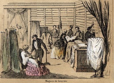 文化和丝绸产品的描述：一家丝绸店。Jules DELBRUCK的 "les Recreations instructives "中的 "la soie "板块，1860年的雕刻。私人收藏。 作者 法语学校