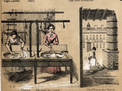 对作物和丝绸产品的描述：工人们在纺丝，清除或闷死蚕茧。Jules DELBRUCK创作的 "les Recreations instructives "中的 "la soie "板块，1860年的雕刻。私人收藏。 作者 法语学校
