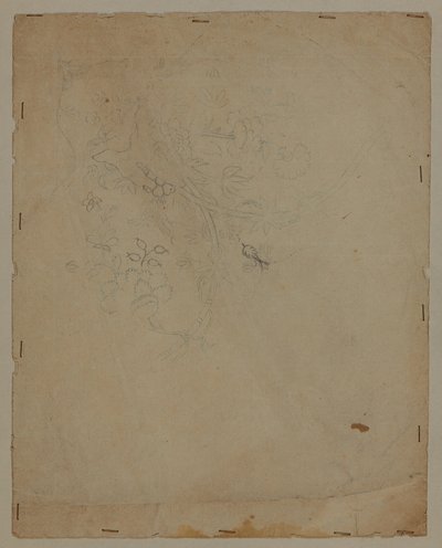 设计图纸，18 世纪晚期 作者 法语学校