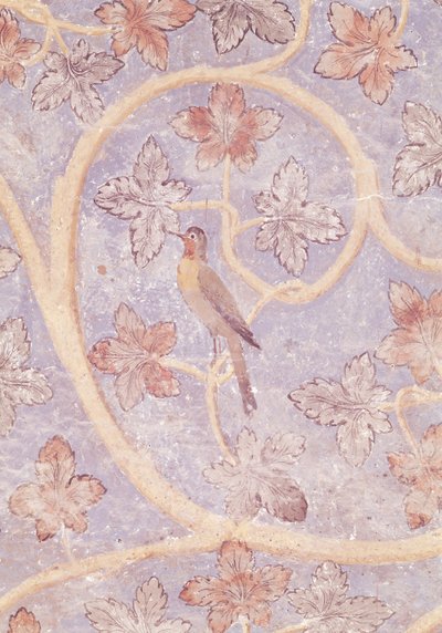 一只鸟的细节，从教皇卧室的墙壁装饰，c.1334-62（参见154784） 作者 法语学校