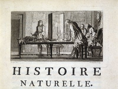 Dissection des animaux - in “” Histoire naturelle, générale et particular”” by Buffon 作者 法语学校