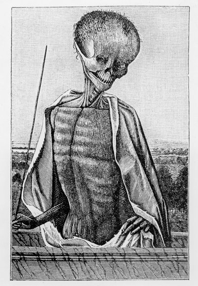 死亡博士，来自“小时之书”，中世纪和文艺复兴时期科学与文学的插图，由Paul Lacroix编写和雕刻，1878年 作者 法语学校
