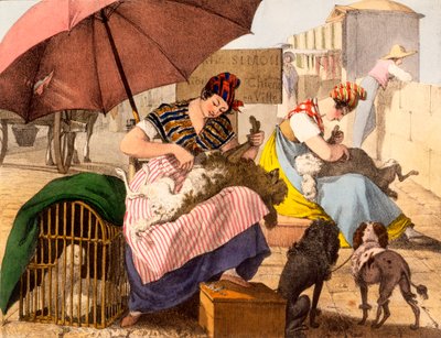 Dog Groomers，1820 作者 法语学校