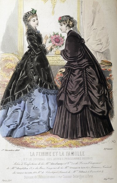 服饰和发型--载于1868年12月1日的《妇女与家庭》和《青年联合报》。 作者 法语学校