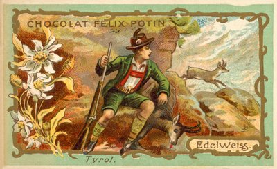 Edelweiss, Tyrol (chromolitho) 作者 法语学校
