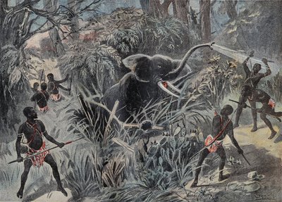 非洲的猎象活动。大象在被箭射死之前掉进了一个坑里。1899年1月22日《Le Pelerin》杂志上的雕刻。 作者 法语学校