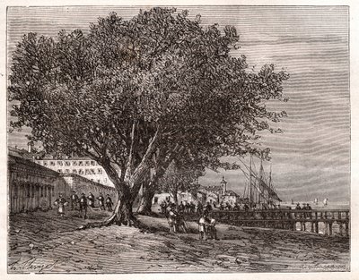 Evian-les-Bains（依云莱班）--上萨瓦省--V.-A. Malt-Brown的 "La France illustree: geographie, histoire, administration statistique "中的雕刻，1884。 作者 法语学校