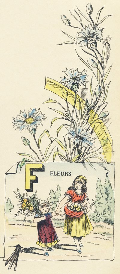 F：花 作者 法语学校
