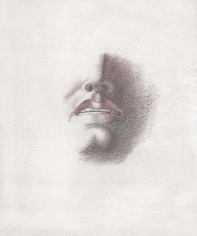 Face of a man. (drawing, circa 1830) 作者 法语学校