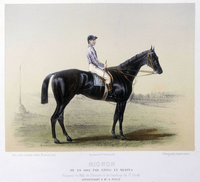 著名的赛马--在1866年的 "半人马 "中 作者 法语学校