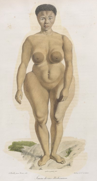 波希斯曼种族的女性"。这幅版画显然是 Sara (Saartjie) Baartman（1789-1815 年）的肖像，她是一名科伊桑人，从南非被带到皮卡迪利广场，以 "霍屯督维纳斯 "的称号公开展出，因为她在南非被称为 "霍屯督维纳斯"。 作者 法语学校