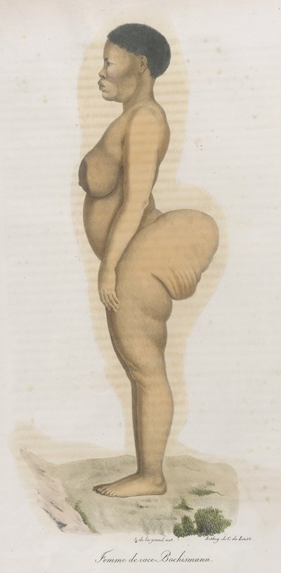 波希斯曼种族的女性"。这幅版画显然是 Sara (Saartjie) Baartman（1789-1815 年）的肖像，她是一名从南非带来的科伊桑人，被冠以 "霍屯督维纳斯 "的头衔在皮卡迪利广场公开展出，因为她在南非被称为 "霍屯督维纳斯"。 作者 法语学校