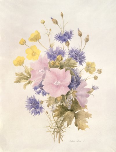 Field Flowers，1842（纸上写着） 作者 法语学校