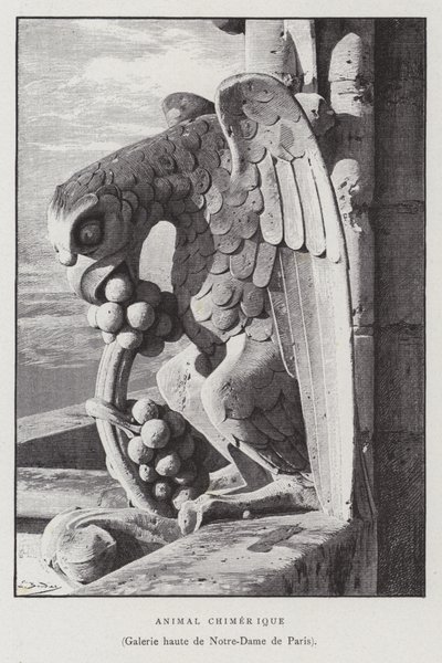 Figure of a chimeric animal, from the upper gallery of Notre Dame de Paris (litho) 作者 法语学校