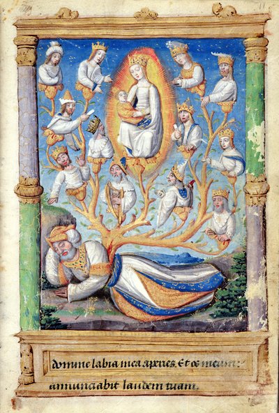 Fol.11r杰西树，来自Heures a lUsage de Rome 作者 法语学校