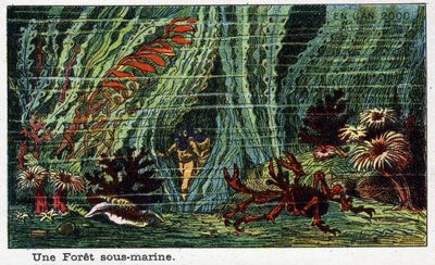 Futuredays: A Nineteenth Century Vision of the Year 2000 - Series “” En l