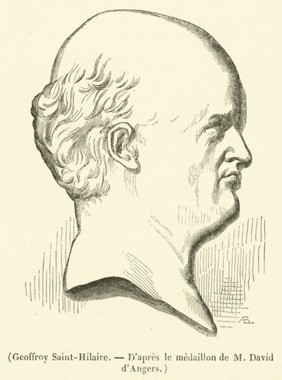 Geoffroy Saint-Hilaire (雕刻) 作者 法语学校