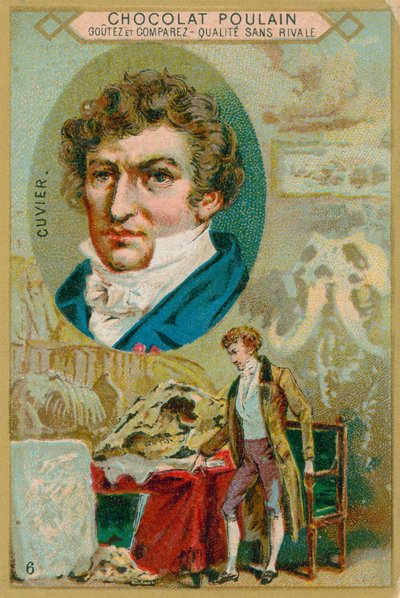 Georges Cuvier 作者 法语学校