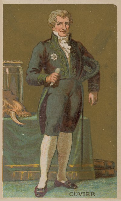 Georges Cuvier，法国博物学家和动物学家（1769-1832） 作者 法语学校