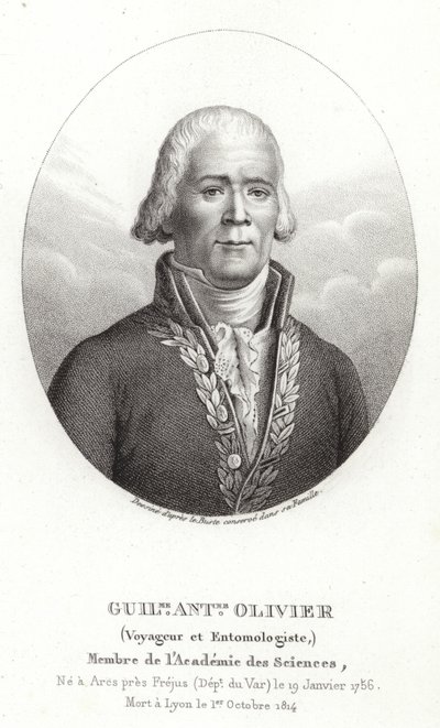 Guillaume Antoine Olivier 作者 法语学校