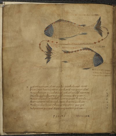 哈雷 647，f.3v 双鱼座插图，选自马库斯-提利乌斯-西塞罗的