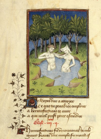 哈雷 MS 4431，f.132v，赫玛弗洛狄托斯和仙女萨尔马琪斯在湖中沐浴的微型画，选自克里斯蒂娜-德-皮赞的《L