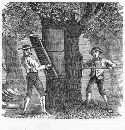 收获科克，出版。1885年雕刻，1885年。 作者 法语学校