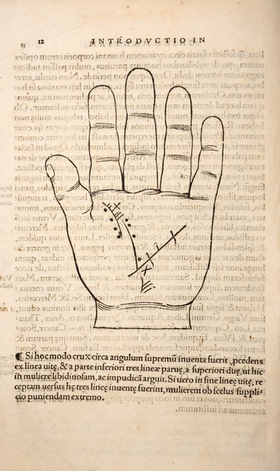 来自Chiromantia的插图，由Joannes Indagioe，斯特拉斯堡，1531年（印刷和雕刻） 作者 法语学校