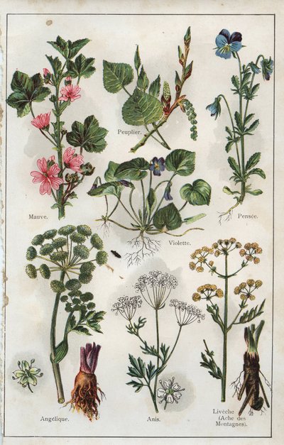 H.M.Menier 医生的《Mon docteur - Traite de Medecine et d