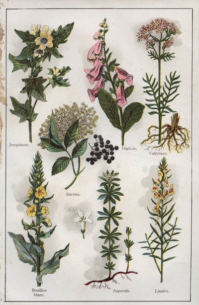 H.M.Menier 医生的《Mon docteur - Traite de Medecine et d