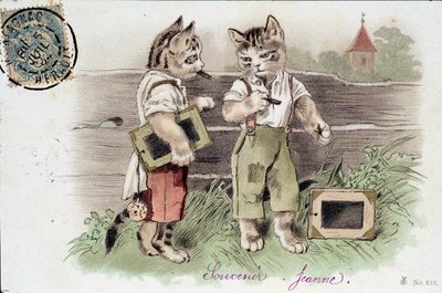 情况下的猫的插图-明信片 20 世纪初。 作者 法语学校