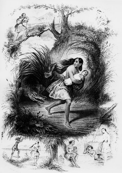 Francois Rene de Chateaubriand的小说《Les Natchez》的插图 作者 法语学校