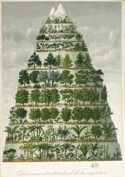 不同类型的植被在不同海拔高度的插图 作者 法语学校
