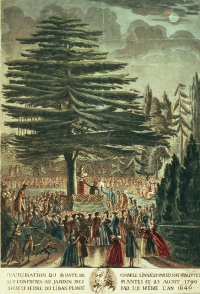 1790年8月23日，他在1646年种植的黎巴嫩雪松下面的植物园中的卡尔林奈（1707-78）半身像的落成典礼 作者 法语学校