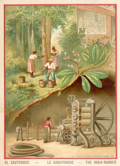 India rubber (chromolitho) 作者 法语学校