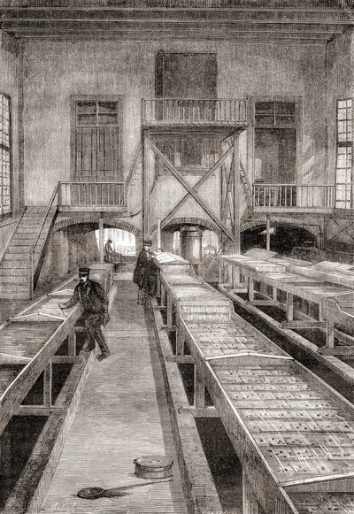 Interior of a 19th century fish farm in Huningue, France, from Les Merveilles de la Science, published c.1870 (engraving) 作者 法语学校