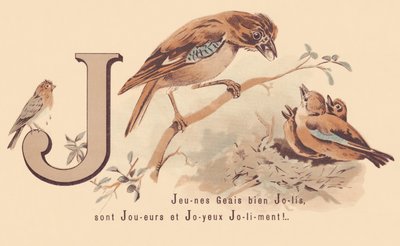 J：Young Jays 漂亮的球员和快乐的 Jolily！ 作者 法语学校