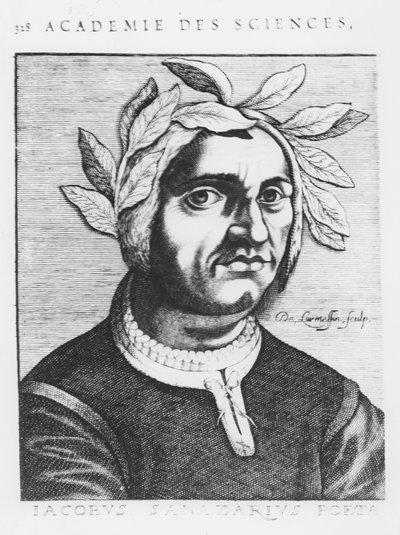Jacopo Sannazaro（雕刻）。 作者 法语学校