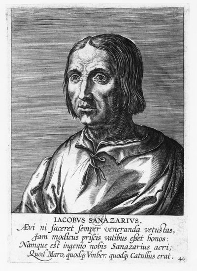 Jacopo Sannazaro（雕刻）。 作者 法语学校