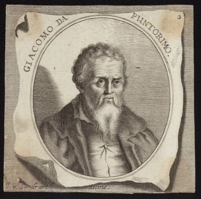 Jacopo da Pontormo 作者 法语学校