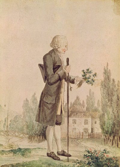 Jean-Jacques Rousseau（1712-78）在Ermenonville收集草药 作者 法语学校