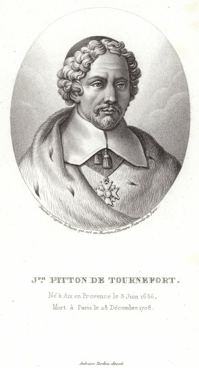 Tournefort的Joseph Pitton 作者 法语学校