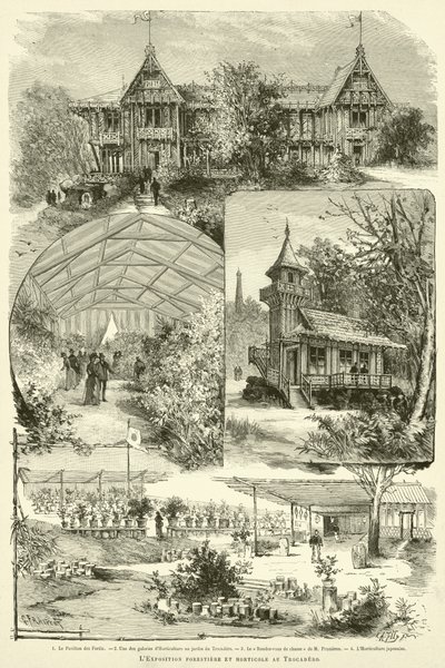 特罗卡德罗森林和园艺展（版画） 作者 法语学校