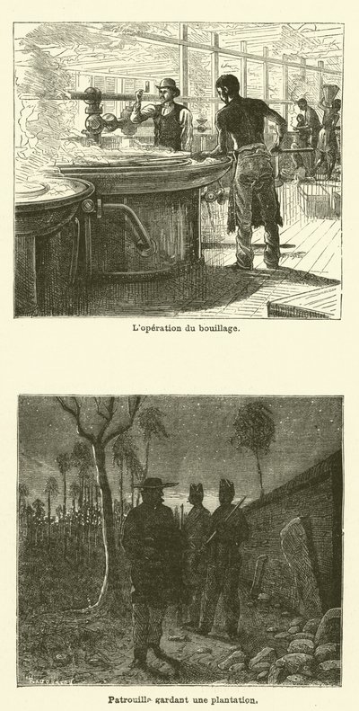 La Canne A Sucre（雕刻）。 作者 法语学校