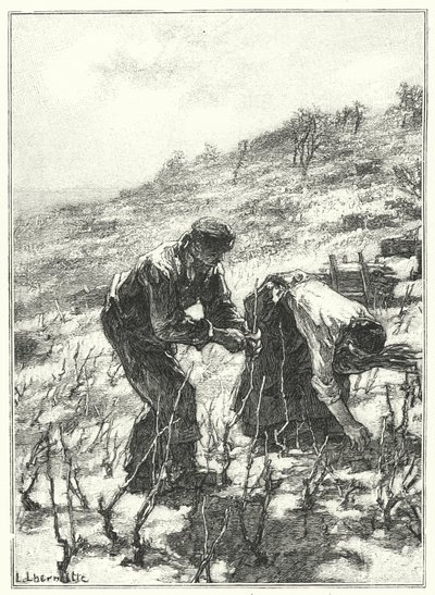 La Taille Des Vignes（雕版画 作者 法语学校