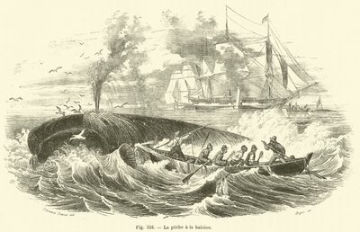 La peche a la baleine (engraving) 作者 法语学校