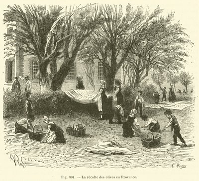 La recolte des olives en Provence (engraving) 作者 法语学校