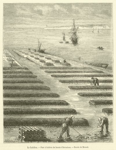 Le Lahillon，阿尔卡雄盆地的牡蛎公园（雕刻） 作者 法语学校